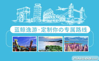 藍鯨旅行 開啟私人定制與商務考察的專業旅程